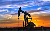 Giá dầu đang tăng trở lại sau thông tin sụt giảm tồn kho tại Mỹ