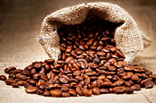 Lo ngại thiếu hụt nguồn cung sau dữ liệu ICO, giá cà phê khả năng cao duy trì đà tăng
