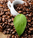 Giá cà phê khả năng cao tiếp tục tăng khi nguồn cung thu hẹp tại Brazil