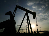 Giá dầu có thể sẽ gặp áp lực trong một phiên giao dịch mỏng