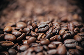 Tiến độ thu hoạch cà phê tại Brazil có thể tiếp tục gây áp lực lên giá