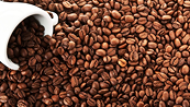 Giá Arabica vẫn có thể giảm khi nguồn cung đang tích cực tại Brazil