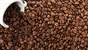 Giá Arabica có thể tiếp tục dao động dưới mức 155 cents/pound