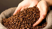 Giá cà phê có thể điều chỉnh giảm trước áp lực kỹ thuật