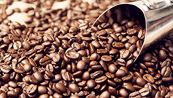 Giá cà phê vẫn có thể giảm do nguồn cung tích cực tại Brazil