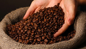 Giá cà phê vẫn có thể giảm do nguồn cung tích cực tại Brazil