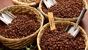Giá cà phê có thể giảm nhờ tín hiệu nguồn cung khởi sắc tại Brazil
