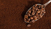 Giá cà phê có thể giảm trước áp lực bán từ nông dân Brazil