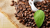 Giá Arabica vẫn có thể tăng nhưng khó để vượt mức tâm lý 160 cents/pound