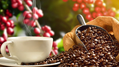 Giá Arabica còn động lượng tăng trước lo ngại nguồn cung thấp