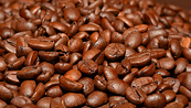 Giá cà phê có thể xác lập xu hướng giảm mới