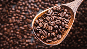 Giá cà phê khả năng cao còn phụ thuộc lớn vào căng thẳng Biển Đỏ