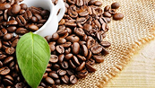 Giá cà phê có thể chịu sức ép khi nguồn cung ngày càng cải thiện