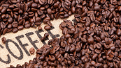 Giá cà phê vẫn còn động lượng giảm trước sự cải thiện về nguồn cung