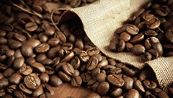 Giá cà phê sẽ hạ nhiệt nhờ nguồn cung vụ mới từ Brazil và Indonesia?