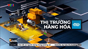 Bản tin TCKD ngày 22/11/2024: Giá đồng giằng co do thông tin cơ bản trái chiều