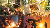 Khối lượng giao dịch hàng hóa tiếp tục tăng