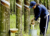 Dòng tiền thận trọng, thị trường hàng hóa thế giới tạm ‘giữ nhịp’