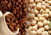 Giằng co trên thị trường: MXV-Index sụt, cà-phê và đậu tương vẫn hút lực mua