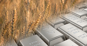 Giá bạch kim lao dốc, lúa mì ‘nóng’ dần theo vụ mùa Mỹ