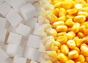 Hiệu ứng domino từ thị trường năng lượng kéo giá đường và ngô tăng cao