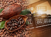 Lực mua áp đảo, MXV-Index bật tăng lên 2.957 điểm