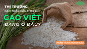 Thị trường gạo toàn cầu thay đổi, gạo Việt đang ở đâu?