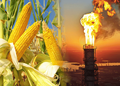Nguồn cung LNG thắt chặt, vụ mùa Mỹ dồi dào tạo lực kéo trái chiều trên thị trường hàng hóa