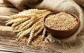 Nguồn cung thắt chặt có thể sẽ giúp cho giá lúa mì quay trở lại đà tăng trong phiên tối