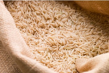 Thị trường Thức Ăn Chăn Nuôi thế giới tuần đến ngày 21/02/2020: Lúa mì tiếp đà tăng