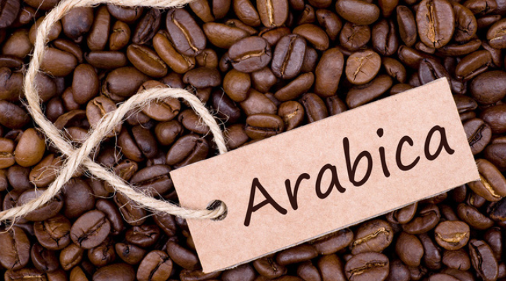 Bộ Công Thương: Giá cà phê Arabica sẽ phục hồi trong năm 2020