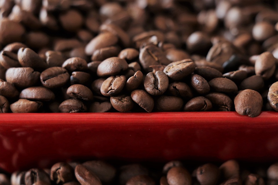 ICO dự báo thặng dư trong năm nay kéo giá cà phê giảm mạnh