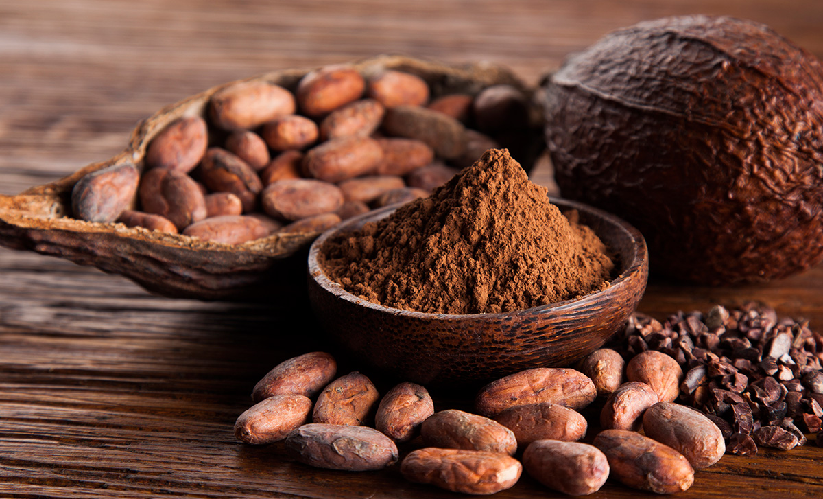 Triển vọng sản lượng tăng và nhu cầu tiêu thụ thấp khiến giá cacao lao dốc