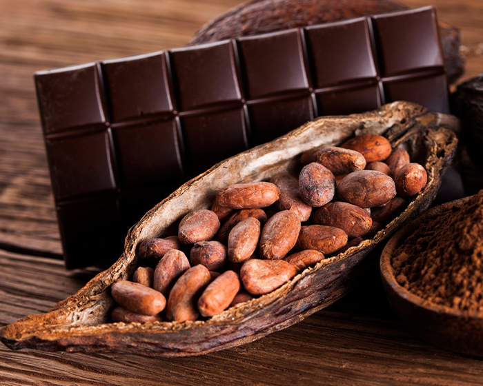 Lực mua bắt đáy vực dậy giá cacao trong ngắn hạn